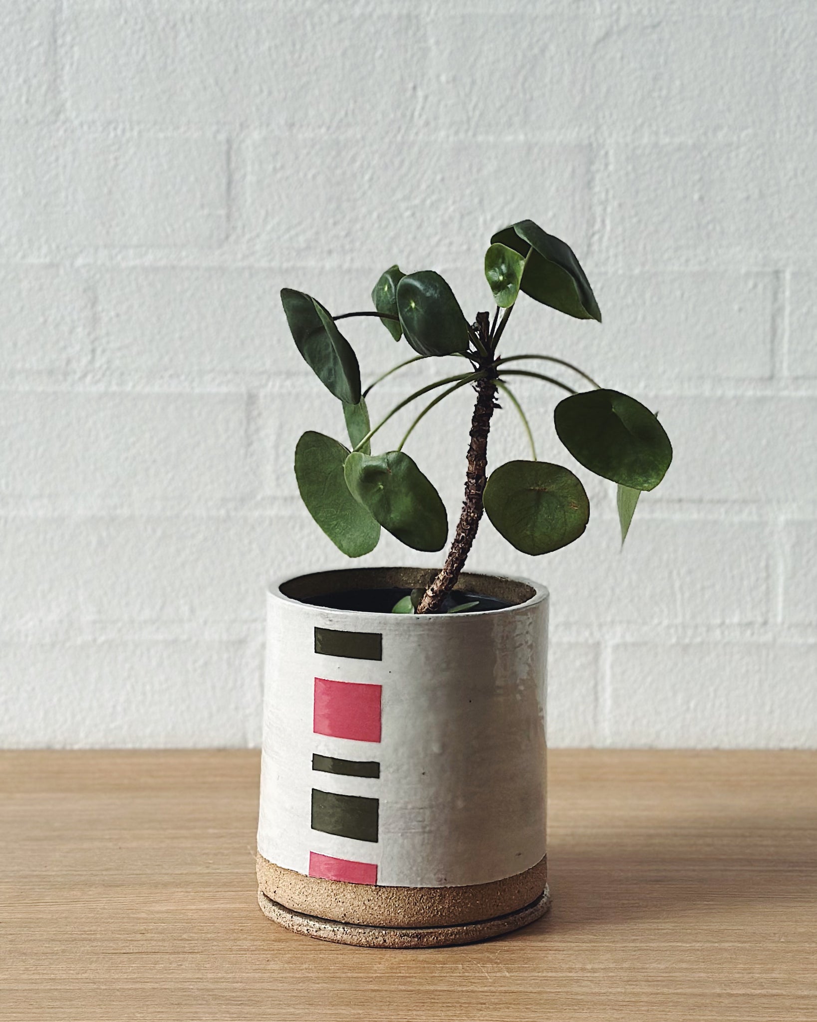 candy stripe planter_ID - pink and green