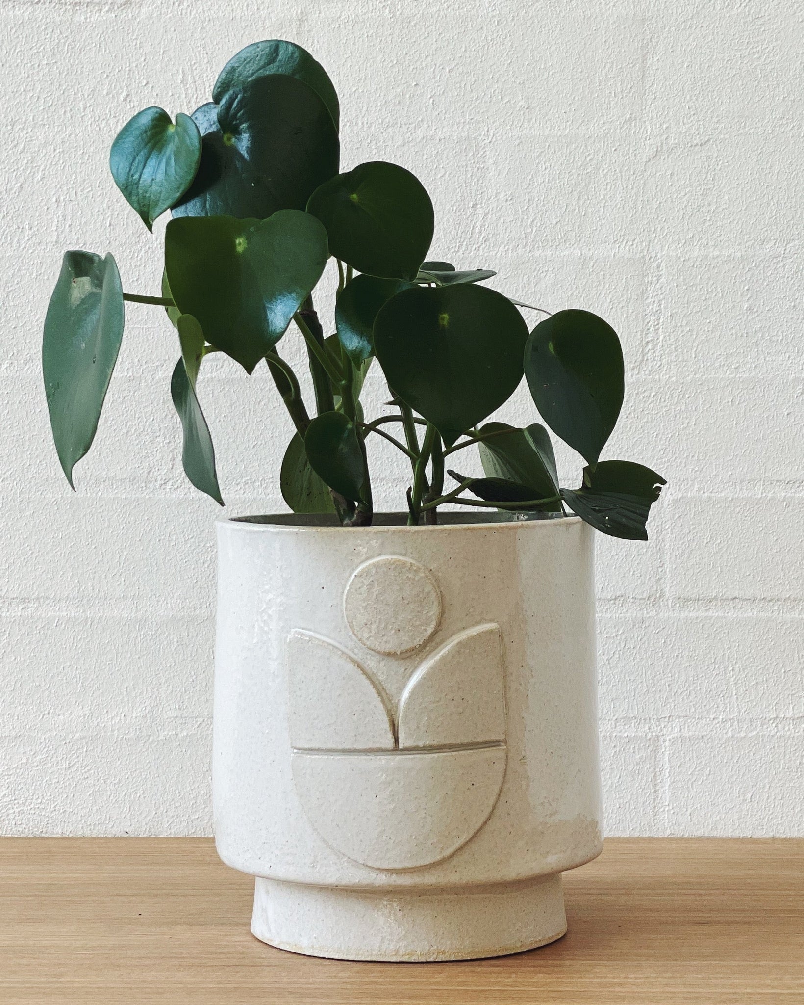 Jenn Johnston Ceramics classic white planterART - tulip motif