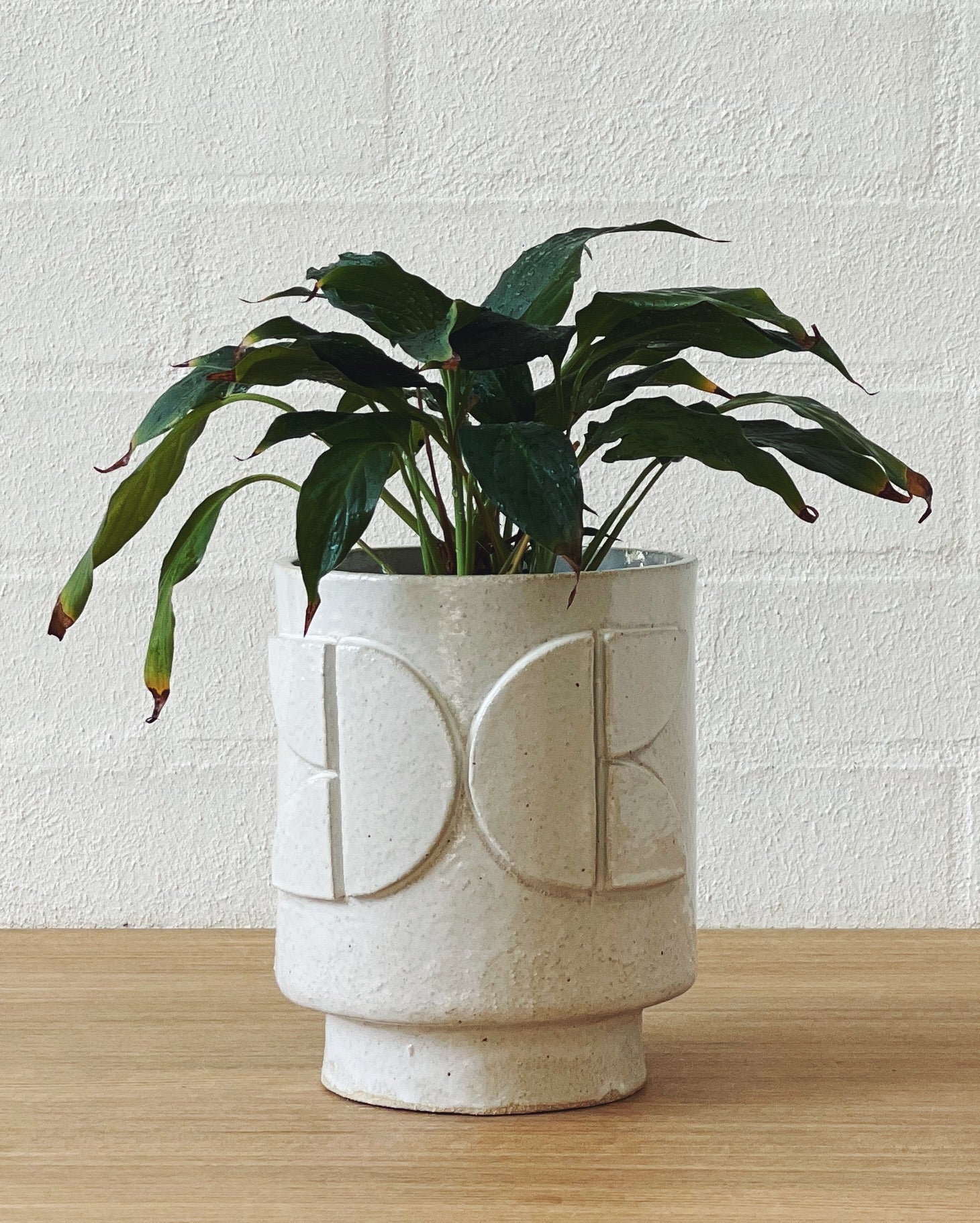Jenn Johnston Ceramics classic white planterART - butterfly motif