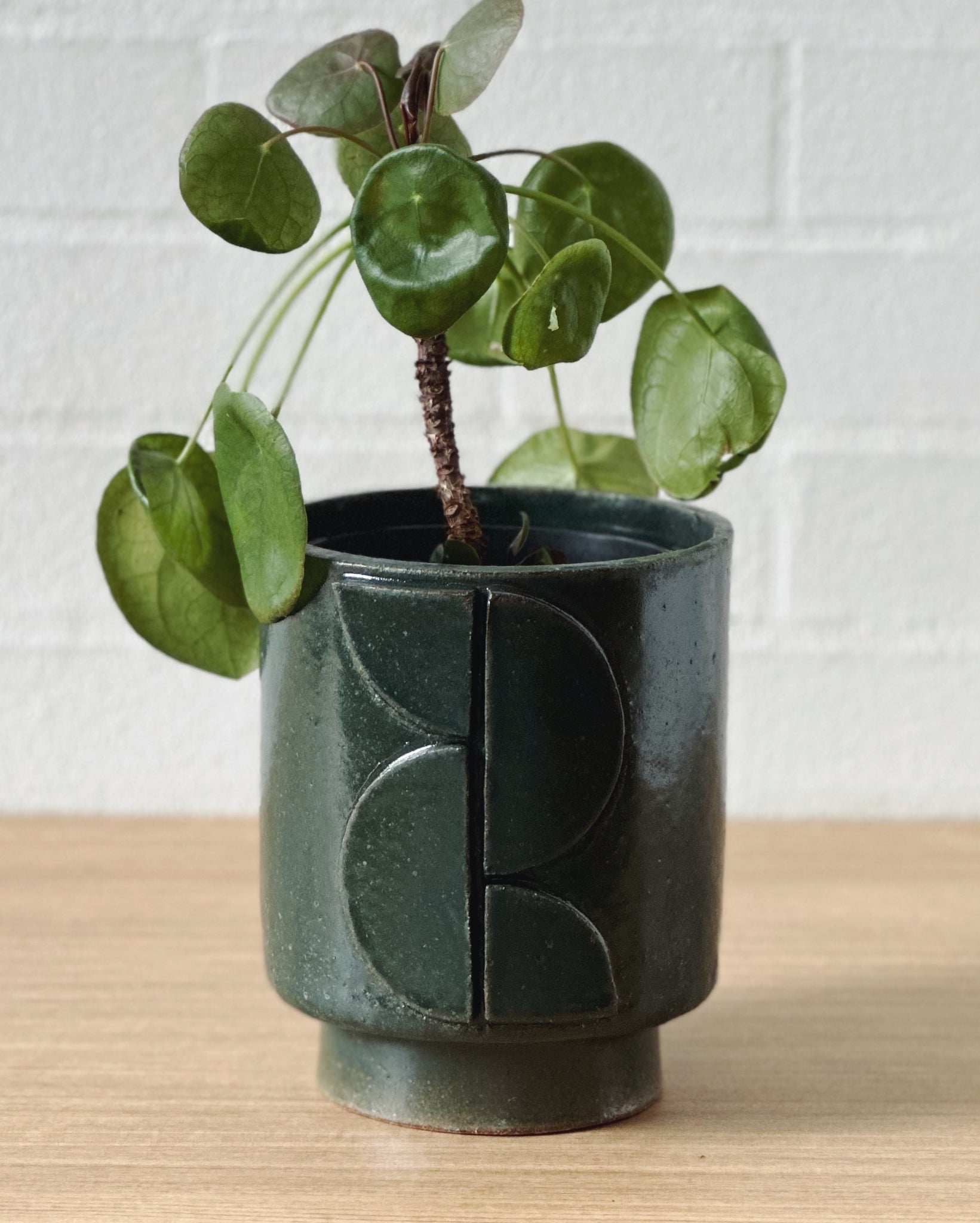 moody green planter_ART - python